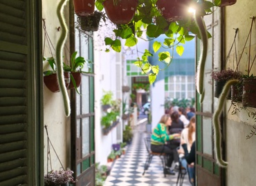 VIVERO CAFÉ BEGONIA
